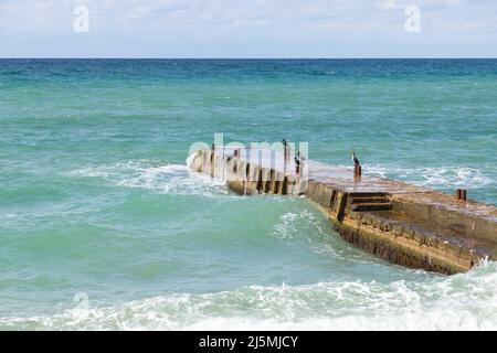 I cormorani si siedono su una frangiflutti, foto del paesaggio estivo scattata sulla costa del Mar Nero in una giornata estiva soleggiata, Crimea Foto Stock