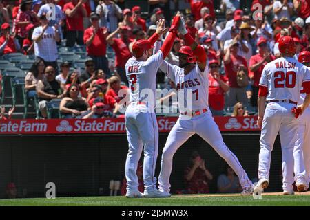 Anaheim, California, Stati Uniti. 24th Apr 2022. Il fielder del centro di Los Angeles Angels Jo Adell (7) celebra il suo ritorno a casa durante una partita di baseball MLB tra i Baltimore Orioles e i Los Angeles Angels all'Angel Stadium di Anaheim, California. Justin fine/CSM/Alamy Live News Foto Stock