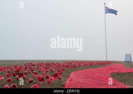 Melbourne, Australia. 25th aprile 2022. Un campo di fiori di papavero rosso fatti a mano posto al Lilydale Memorial Park in una mattinata di nebbia per commemorare il giorno dell'Anzac. Credit: Jay Kogler/Alamy Live News Foto Stock