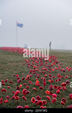 Melbourne, Australia. 25th aprile 2022. Un uomo paga i suoi rispetti in un campo di papaveri fatti a mano posto al Lilydale Memorial Park per commemorare l'Anzac Day. Credit: Jay Kogler/Alamy Live News Foto Stock