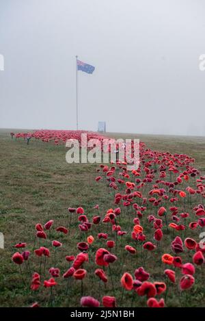 Melbourne, Australia. 25th aprile 2022. Un campo di fiori di papavero rosso fatti a mano posto al Lilydale Memorial Park in una mattinata di nebbia per commemorare il giorno dell'Anzac. Credit: Jay Kogler/Alamy Live News Foto Stock