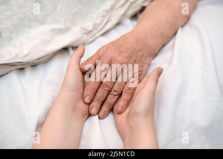 Le mani del nipote tengono la mano rugosa di una nonna anziana malata in una clinica medica. Il concetto di amore e cura. Movimento lento. Foto Stock
