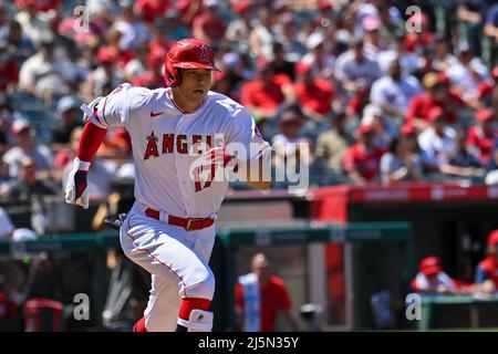 Anaheim, California, Stati Uniti. 24th Apr 2022. Los Angeles Angels designato Hitter Shohei Ohtani (17) corre al primo durante una partita di baseball MLB tra i Baltimore Orioles e i Los Angeles Angels all'Angel Stadium di Anaheim, California. Justin fine/CSM/Alamy Live News Foto Stock