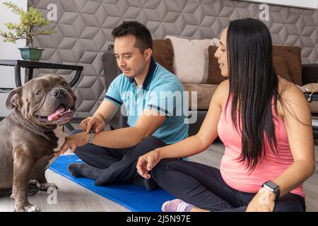Un uomo incinta e una coppia di donne praticano lo yoga a casa e giocano con il loro cane da bulldog inglese Foto Stock
