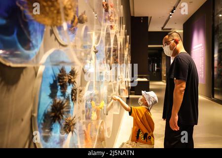 Haikou, la provincia cinese di Hainan. 24th Apr 2022. I turisti visitano una mostra che presenta la civiltà marina del Mare della Cina del Sud al Museo Hainan a Haikou, provincia Hainan della Cina del Sud, 24 aprile 2022. Credit: Zhang Liyun/Xinhua/Alamy Live News Foto Stock