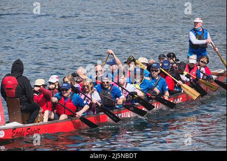 I concorrenti in una gara di dragon boat alla fine del loro calore nella Inlet Spring Regatta 2022. Rocky Point Park, Port Moody, B. C., Canada. Foto Stock