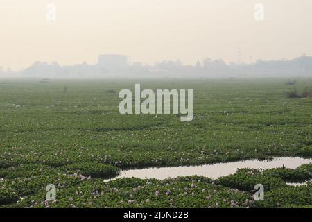 LAGO VICINO AL TEMPIO DI KORADI, NAGPUR. Foto Stock