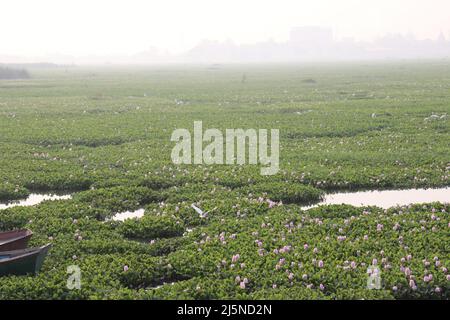 VISTA SUL LAGO VICINO AL TEMPIO DI KORADI, NAGPUR. Foto Stock