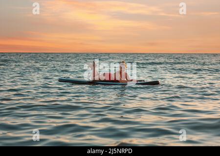 Inoltre ha dimensionato la donna graziosa in costume da bagno rosso che si posa su una tavola del sup. Spazio di copia. Cielo al tramonto sullo sfondo. Il concetto di sport acquatici e l'estate Foto Stock