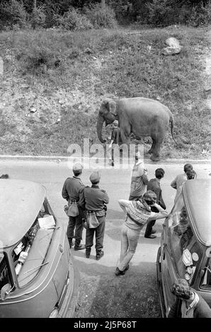 Ripresa del film ' Hannibal Brooks ' su una location a Vorarlberg. [traduzione automatizzata] Foto Stock