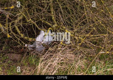 I rifiuti di plastica come un sacchetto di plastica non si decomporsi nel nostro ambiente Foto Stock