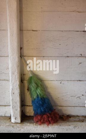 Feather duster Foto Stock