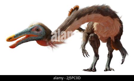 Gallimio, dinosauro piume del tardo Cretaceo, isolato su sfondo bianco Foto Stock