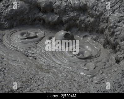 Nuova Zelanda, isola nord - piscine di fango bollente nella Valle Termale di Whakarewarewa Foto Stock