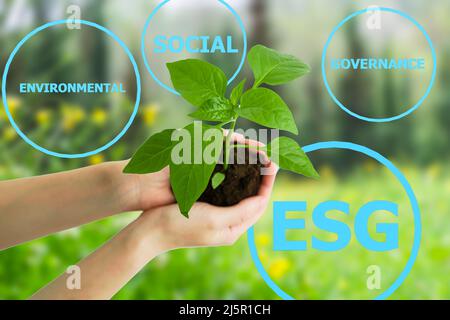 Modernizzazione del gruppo ESG conservazione della governance sociale ambientale e politica della RSI. Germoglio verde vivente nelle mani in mani sullo sfondo della natura. Concetto di ecologia e protezione della natura. Foto di alta qualità Foto Stock