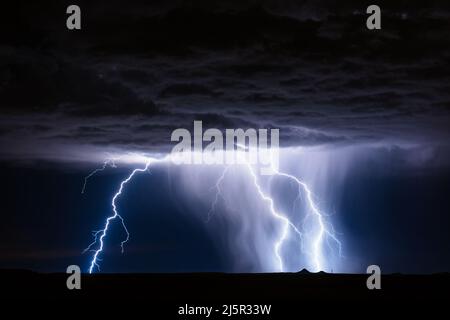 I fulmini illuminano la pioggia che cade da un temporale vicino a Holbrook, Arizona Foto Stock