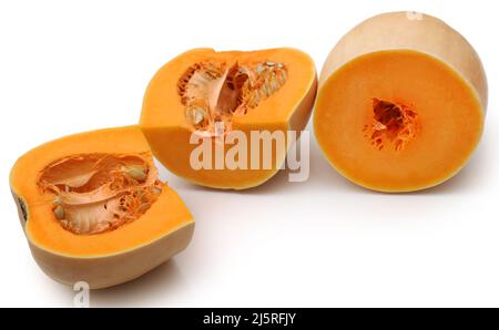 Butternut squash su sfondo bianco Foto Stock