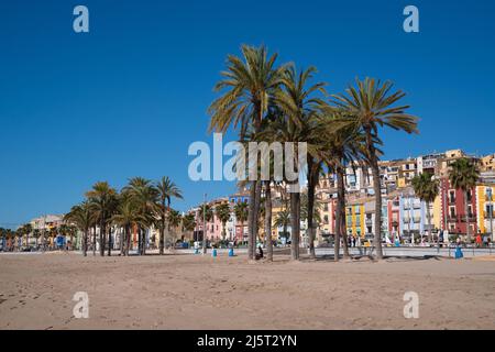 Villajoyosa Spagna bella città con case colorate e palme Costa Blanca Alicante Foto Stock