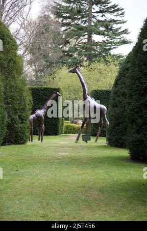 Il percorso dei dinosauri presso la Knebworth House, Hertfordshire, Inghilterra. Foto Stock