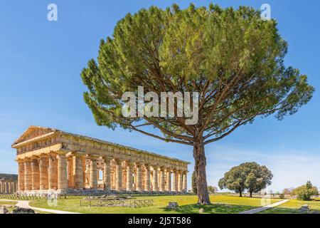 Paestum, Italia; 18 aprile 2022 - il Tempio di Hera a Paestum, che contiene alcuni dei templi greci più ben conservati del mondo. Foto Stock