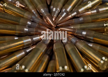 .308 munizioni di calibro che giacciono in un cerchio Foto Stock