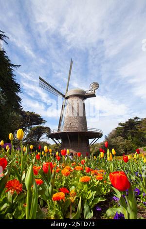 Mulino a vento nel Golden Gate Park, San francisco Foto Stock