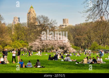 Persone che godono di attività ricreative al Sheep Meadow in Central Park, New York City, USA 2022 Foto Stock