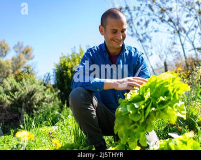 l'uomo felice sorridente tiene in mano una verdura nel suo giardino di verdure urbane Foto Stock