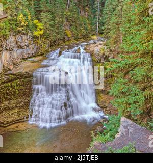 Ouzel cade sulla forcella del sud ovest della forcella fiume Gallatin nel cadere vicino Big Sky, montana Foto Stock