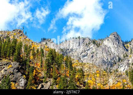 Colori giallo e verde autunno. Foto Stock