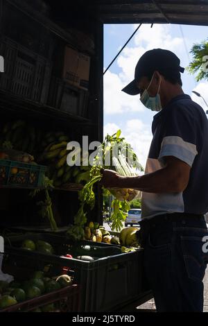 Uomini lavoratori latini in strada distributore di alimentari stand con verdure e frutta in strada Foto Stock