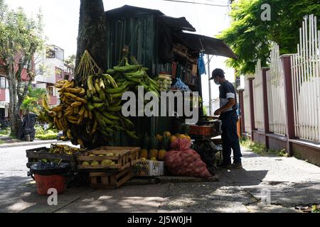 Uomini lavoratori latini in strada distributore di alimentari stand con verdure e frutta in strada Foto Stock