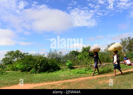 Le donne malgasce che trasportano i sacchetti pesanti sulle loro teste. Regione di Ambohimanga nel Madagascar centrale. Foto Stock