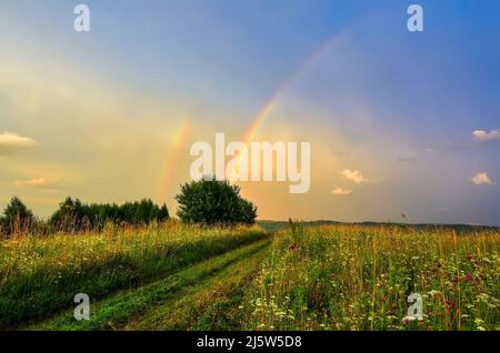 Scena incredibile nel prato estivo. Parte arco di bautyful doppio arcobaleno su strada rurale e prato fiorente in fantastica luce del sole della sera. Panorama pho Foto Stock