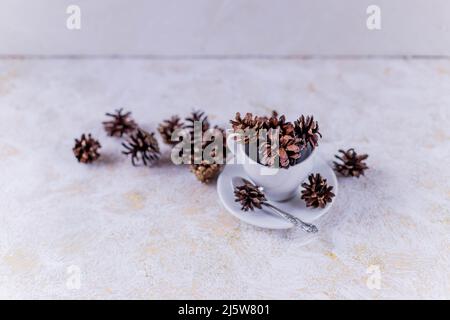 Natale pigne sul libro bianco composizione di confine. Piatti creativi di laici che, vista dall'alto design Foto Stock