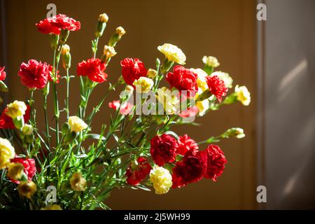 Garofani rossi e gialli all'interno vicino a una finestra Foto Stock