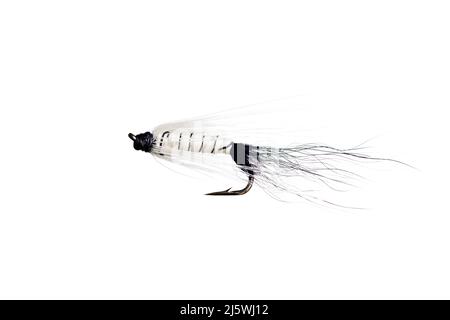 Pesca Fly isolato contro uno sfondo bianco Foto Stock