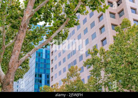 Gli alberi si trovano all'esterno di due edifici alti nella Silicon Valley, San Jose, California Foto Stock