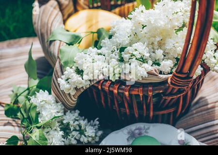 Cestino da picnic con fiori di lilla bianca primavera su prato. Foto Stock