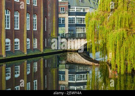 Mattina di primavera sul fiume Wensum a Norwich, Norfolk, Inghilterra. Foto Stock