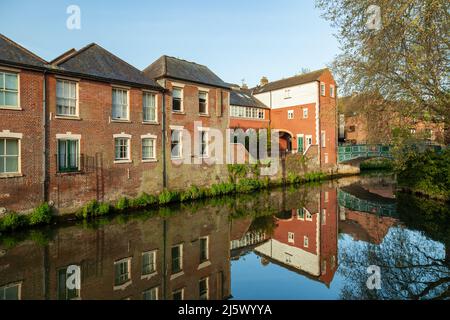 Mattina di primavera sul fiume Wensum a Norwich, Inghilterra. Foto Stock