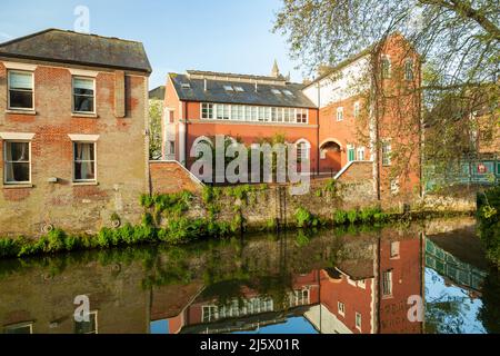 Mattina di primavera sul fiume Wensum a Norwich, Norfolk, Inghilterra. Foto Stock
