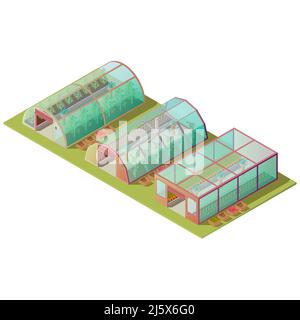 Serre isometriche allestite, casali di diverse forme per la coltivazione di piante con finestre in vetro e porta di sollevamento automatico isolata su wh Illustrazione Vettoriale