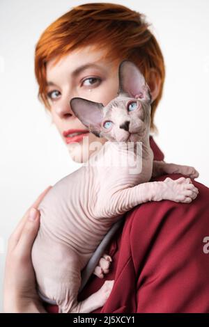 Giocoso cucciolo senza capelli Sphynx guardando in alto, seduto su spalla rossa giovane donna con capelli corti. Fuoco selettivo sul gatto domestico Foto Stock