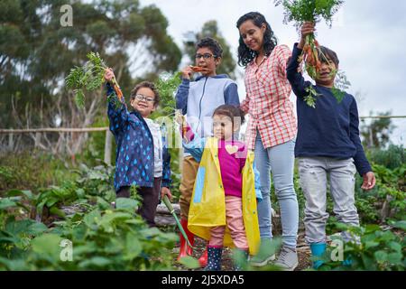 Ritratto Happy famiglia raccolta di carote fresche in orto Foto Stock