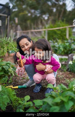 Madre e figlia del toddler che raccolgono le carote in giardino Foto Stock