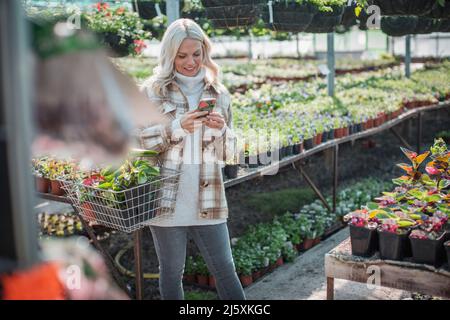 Donna con smartphone shopping in negozio giardino Foto Stock