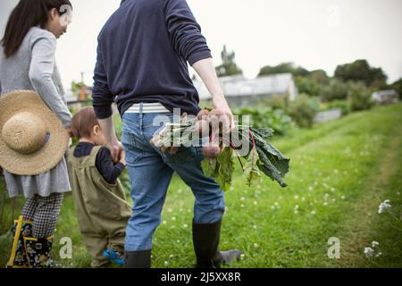 Famiglia raccogliendo verdure e camminando in giardino Foto Stock