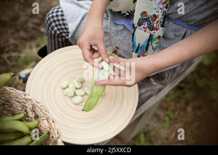 Vista dall'alto donna che esulta i fagioli del burro Foto Stock