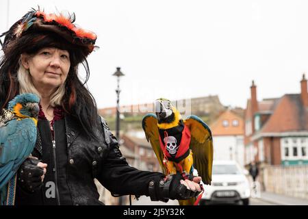 WHITBY, INGHILTERRA. Aprile 24th 2022. Titolare di Parrots & Pirates Ltd in possesso di due pappagalli è visto su Bridge Street a Whitby durante il fine settimana Goth. Foto Stock